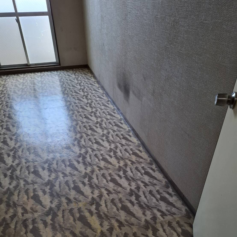 清掃後の部屋全体1